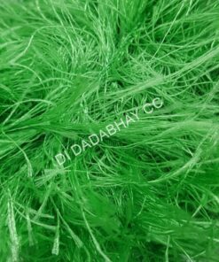 FEELINGS - COL 37 LIME GREEN